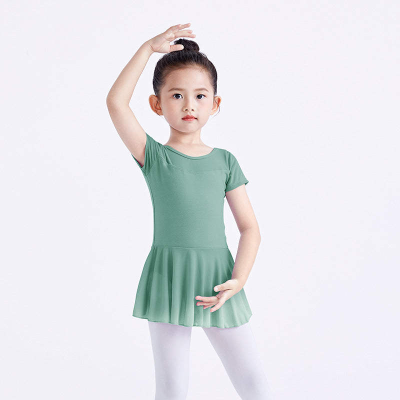 missfiona Mesh Top Girls Classic Dance Dress Ballet Skirted Leotard Activewear