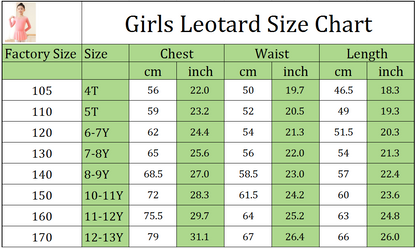 missfiona Mesh Top Girls Classic Dance Dress Ballet Skirted Leotard Activewear
