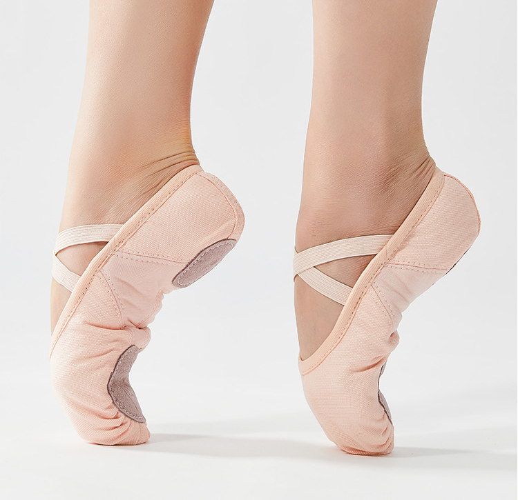 missfiona Girls Ballet Shoes Toddler Ballet Slippers Dance Shoes for Little Kid/Big Kid/Women